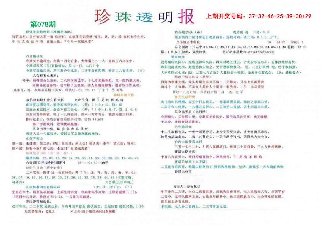 078期珍珠透明报[图]