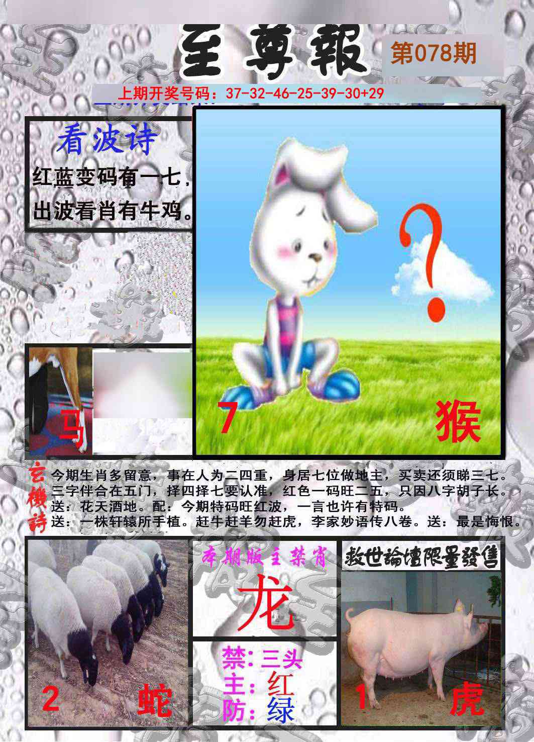 078期至尊报[图]